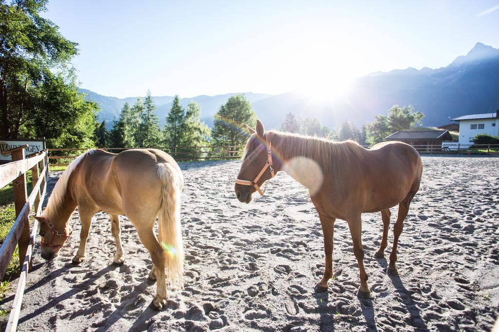 Ferienwohnungen Oetztal Sautens Exteriör bild