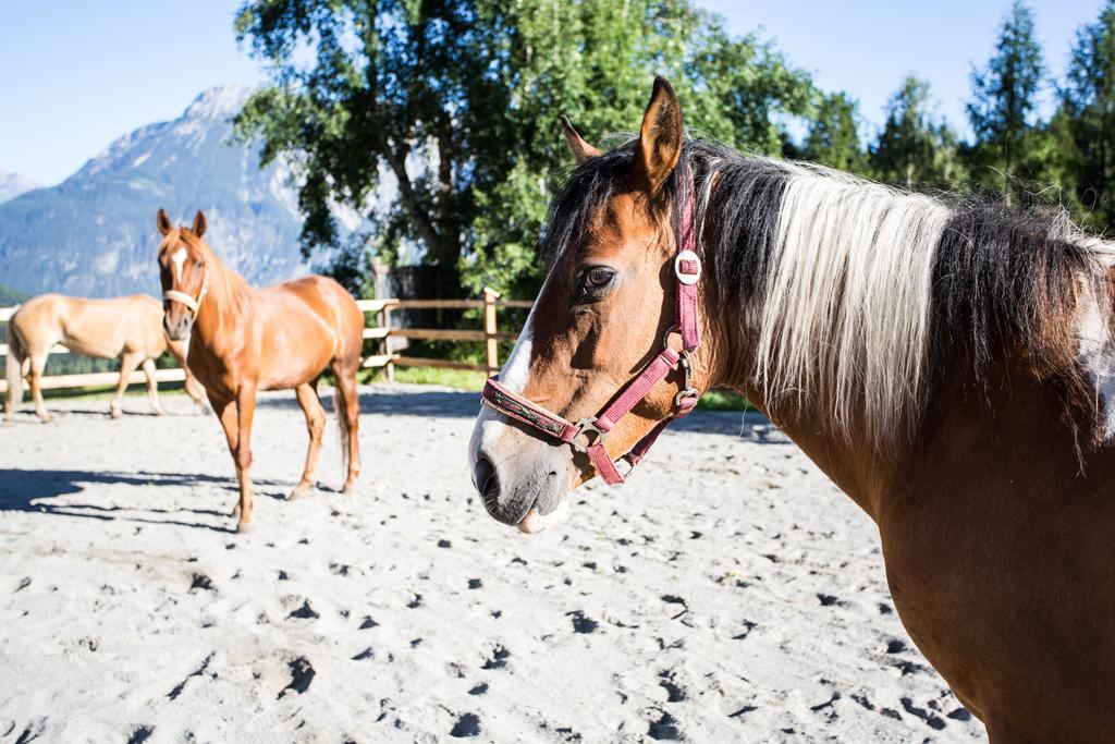 Ferienwohnungen Oetztal Sautens Exteriör bild